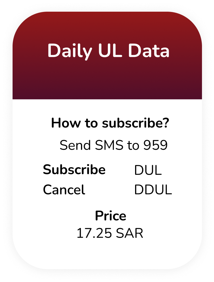 daily unlimited local calls and data bundle