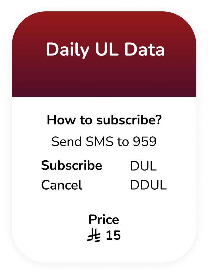 daily unlimited local calls and data bundle